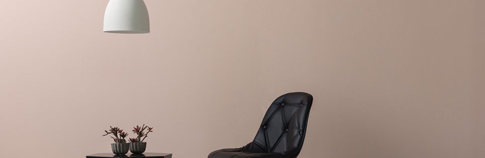 professional painting company